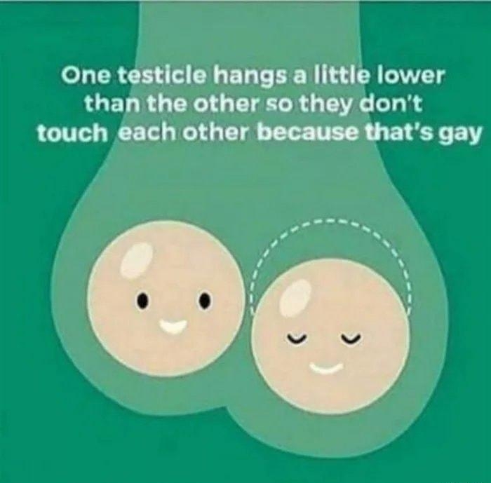 One testicle hangs a little lower than the other so they dont touch each other because thats gay