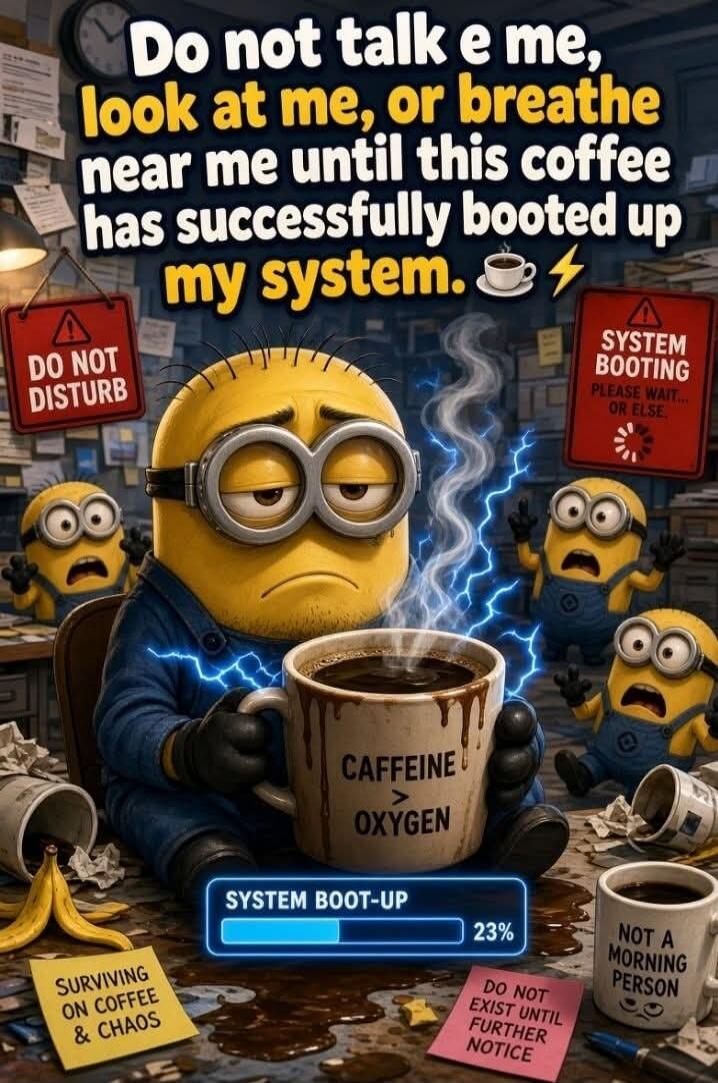 Do not talk to me, look at me, or breathe near me until this coffee has successfully booted up my system. DO NOT DISTURB. SYSTEM BOOTING PLEASE WAIT... OR ELSE. CAFFEINE > OXYGEN. SYSTEM BOOT-UP 23%. SURVIVING ON COFFEE & CHAOS. DO NOT EXIST UNTIL FURTHER NOTICE. NOT A MORNING PERSON.