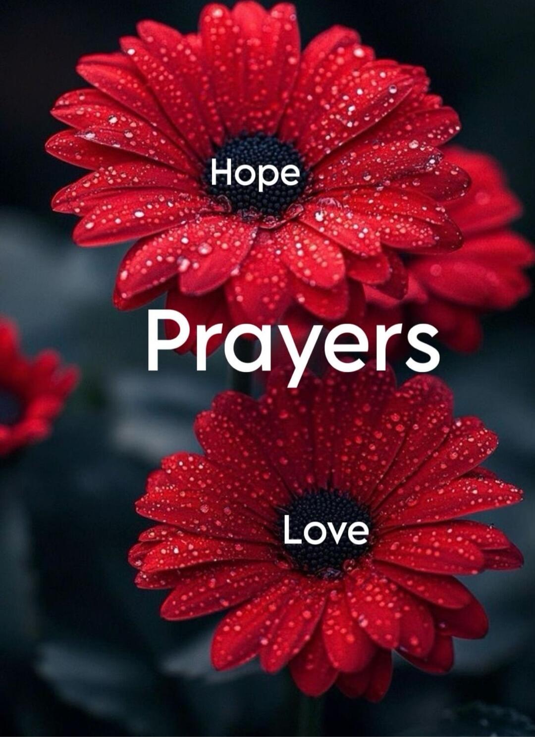 Hope
Prayers
Love