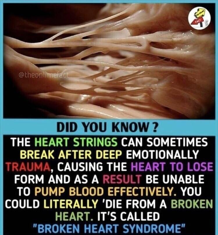 DID YOU KNOW THE HEART STRINGS CAN SOMETIMES BREAK AFTER DEEP EMOTIONALLY CAUSING THE HEART TO LOSE FORM AND AS A RESULT BE UNABLE TO PUMP BLOOD EFFECTIVELY YOU COULD LITERALLY DIE FROM A BROKEN HEART ITS CALLED BROKEN HEART SYNDROME