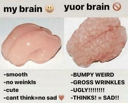 my brain Yyuor brain 4 smooth BUMPY WEIRD no weinklis GROSS WRINKLES cute uGLynnn cant thinknosad THINKS SAD