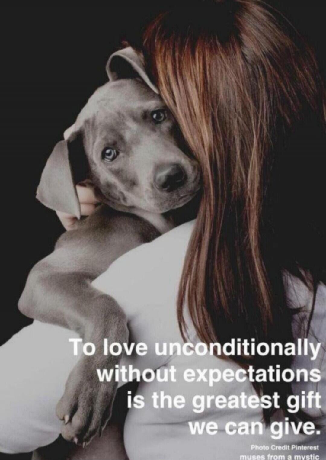 To love unconditionally without expectations is the greatest gift we can give. Photo Credit Pinterest muses from a mystic