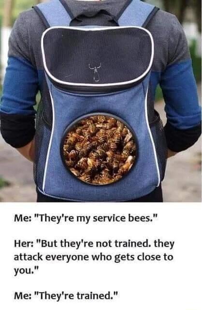 Theyre my service bees Her But theyre not trained they attack everyone who gets close to you Me Theyre trained