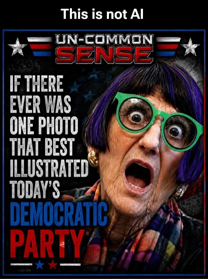 This is not AI UN-COMMON SENSE IF THERE EVER WAS ONE PHOTO THAT BEST ILLUSTRATED TODAY'S DEMOCRATIC PARTY