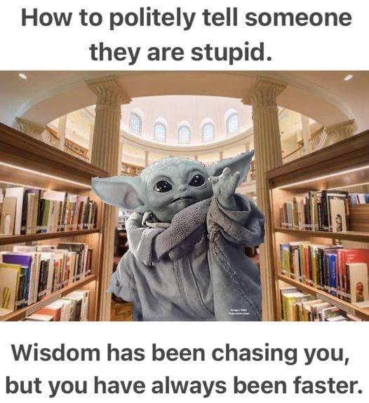 How to politely tell someone they are stupid Wisdom has been chasing you but you have always been faster
