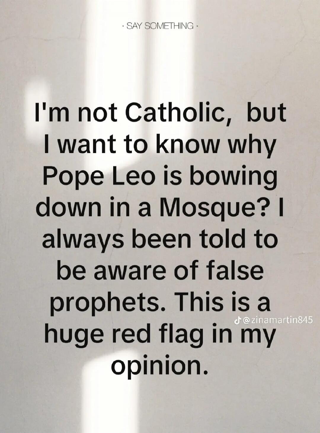 SAY SOMETHING. I'm not Catholic, but I want to know why Pope Leo is bowing down in a Mosque? I always been told to be aware of false prophets. This is a huge red flag in my opinion. @zinamartin845
