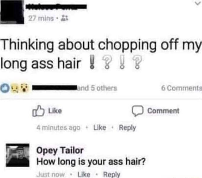 Thinking about chopping off my long ass hair Opey Tailor How long is your ass hair Like Reply