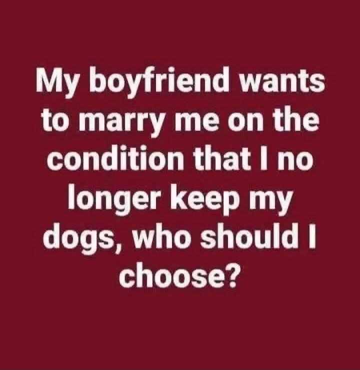 My boyfriend wants to marry me on the condition that I no longer keep my dogs, who should I choose?