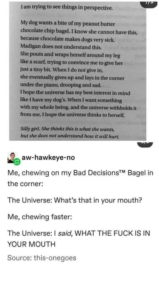 w h aw hawkeye no Me chewing on my Bad Decisions Bagel in the corner The Universe Whats that in your mouth Me chewing faster The Universe said WHAT THE FUCK IS IN YOUR MOUTH Source this onegoes