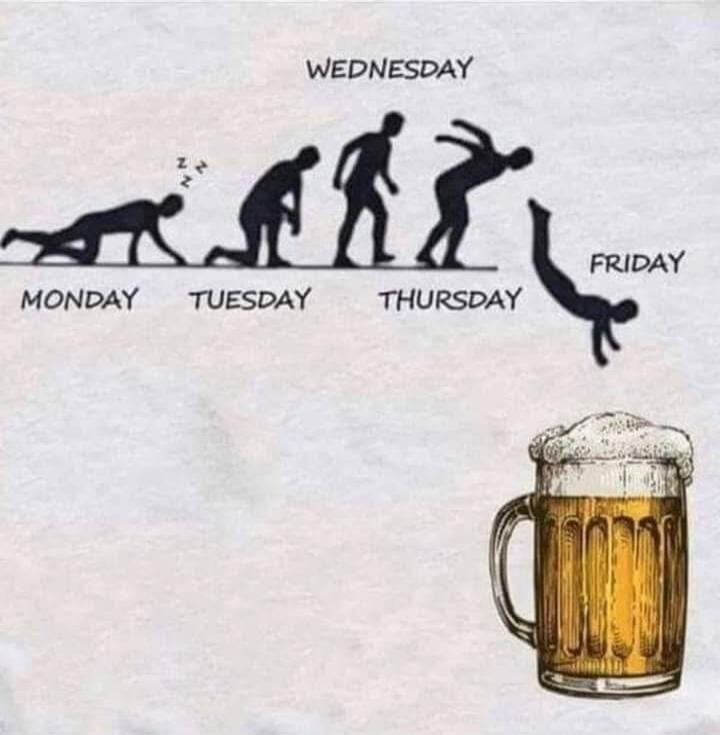 MONDAY TUESDAY WEDNESDAY THURSDAY FRIDAY