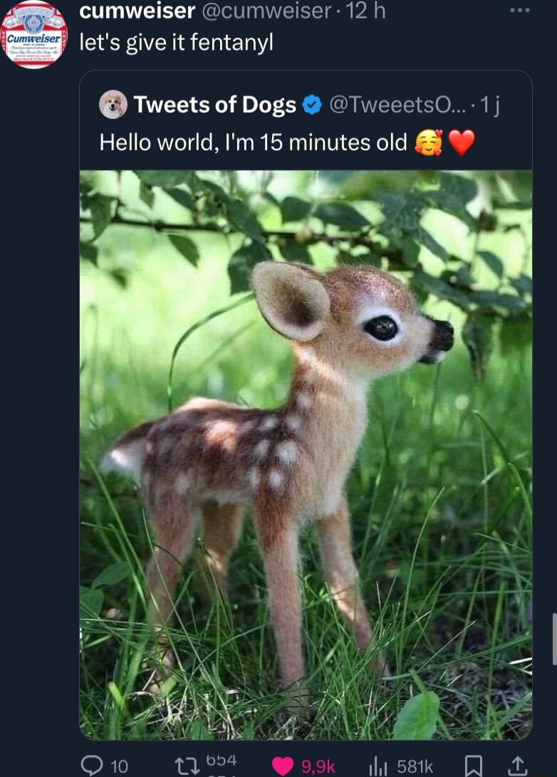 cumweiser cumweiser 12h lets give it fentanyl Tweets of Dogs TweeetsO 1 Hello world Im 15 minutes old