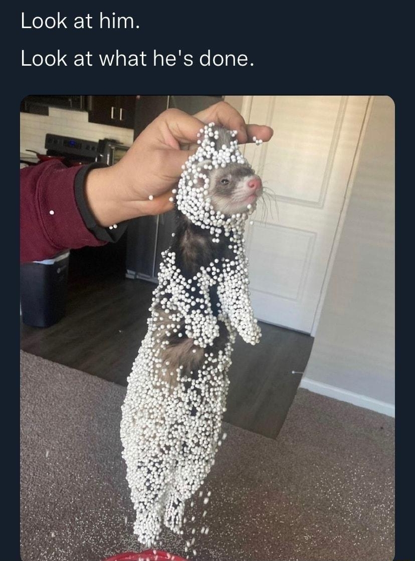 That Seventies Bitch KittyOffRecord Look at him Look at what hes done