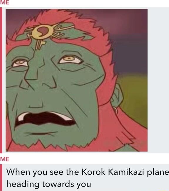 When you see the Korok Kamikazi plane heading towards you