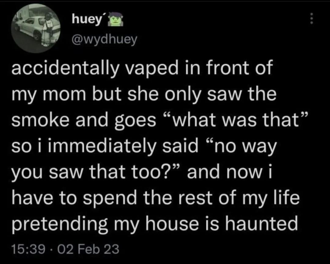 LUE wydhuey el CTEAE T RTe R deTo ed my mom but she only saw the smoke and goes what was that so i immediately said no way you saw that too and now i NEVWCR GRS e e R N ol M VA TN pretending my house is haunted 1539 02 Feb 23