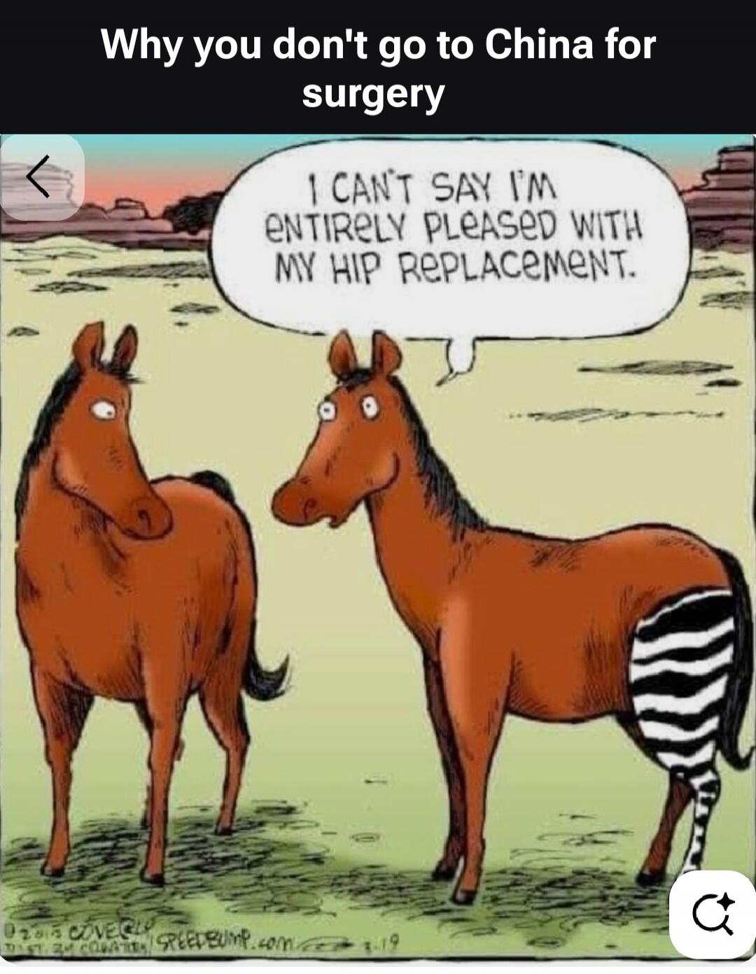 Why you don't go to China for surgery. I can't say I'm entirely pleased with my hip replacement.