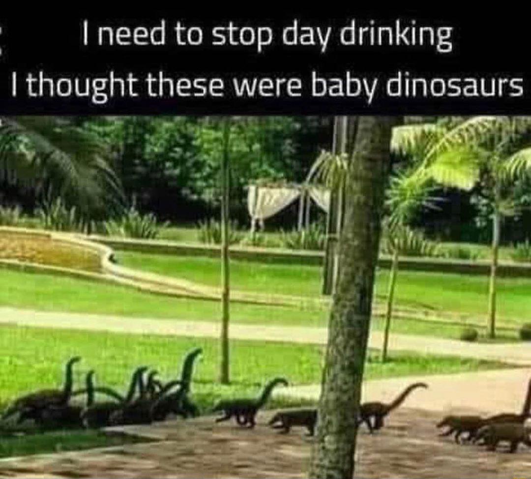 need to stop day drinking l thought these were bab dinosaurs