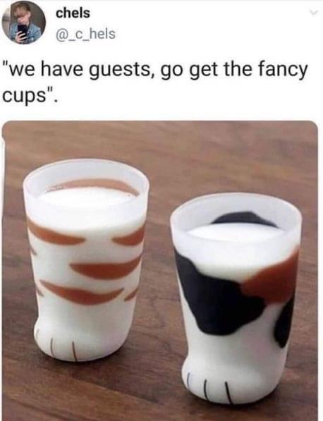 chels _c_hels we have guests go get the fancy cups