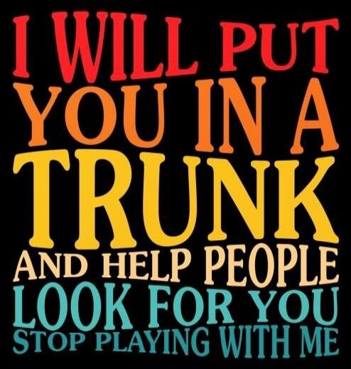 I WILL PUT YOU IN A TRUNK AND HELP PEOPLE LOOK FOR YOU STOP PLAYING WITH ME