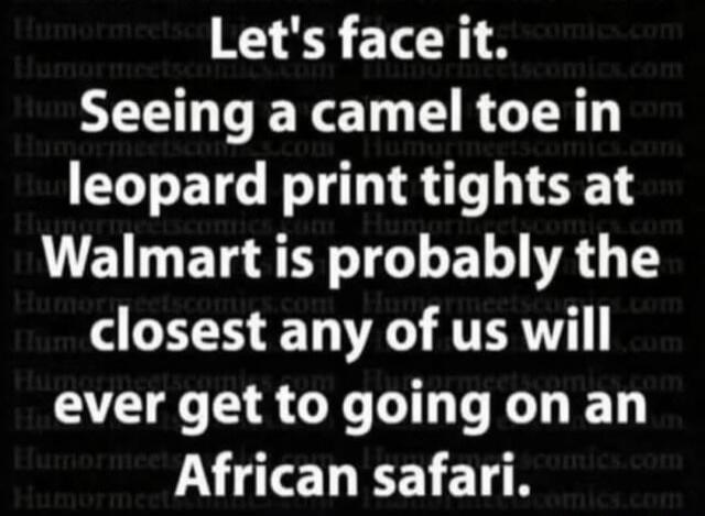 Let's face it. Seeing a camel toe in leopard print tights at Walmart is probably the closest any of us will ever get to going on an African safari.