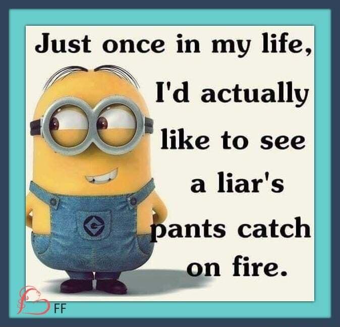 Just once in my life ld actually g like to see a liars ants catch n fire