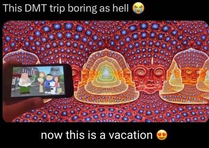 This DMT trip boring as hell now this is a vacation