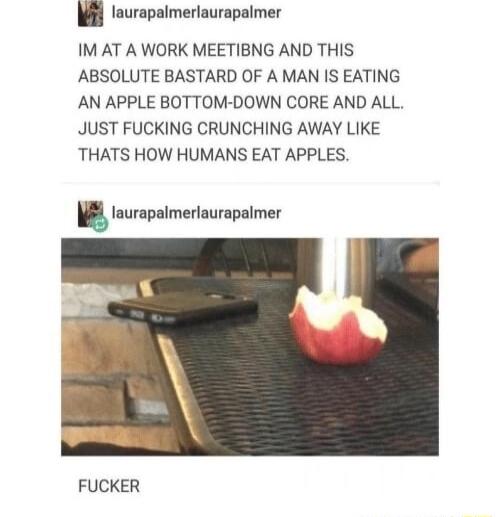 laurapalmerlaurapalmer IM AT A WORK MEETIBNG AND THIS ABSOLUTE BASTARD OF A MAN IS EATING AN APPLE BOTTOM DOWN CORE AND ALL JUST FUCKING CRUNCHING AWAY LIKE THATS HOW HUMANS EAT APPLES BB tourapaimerlaurapalmer FUCKER