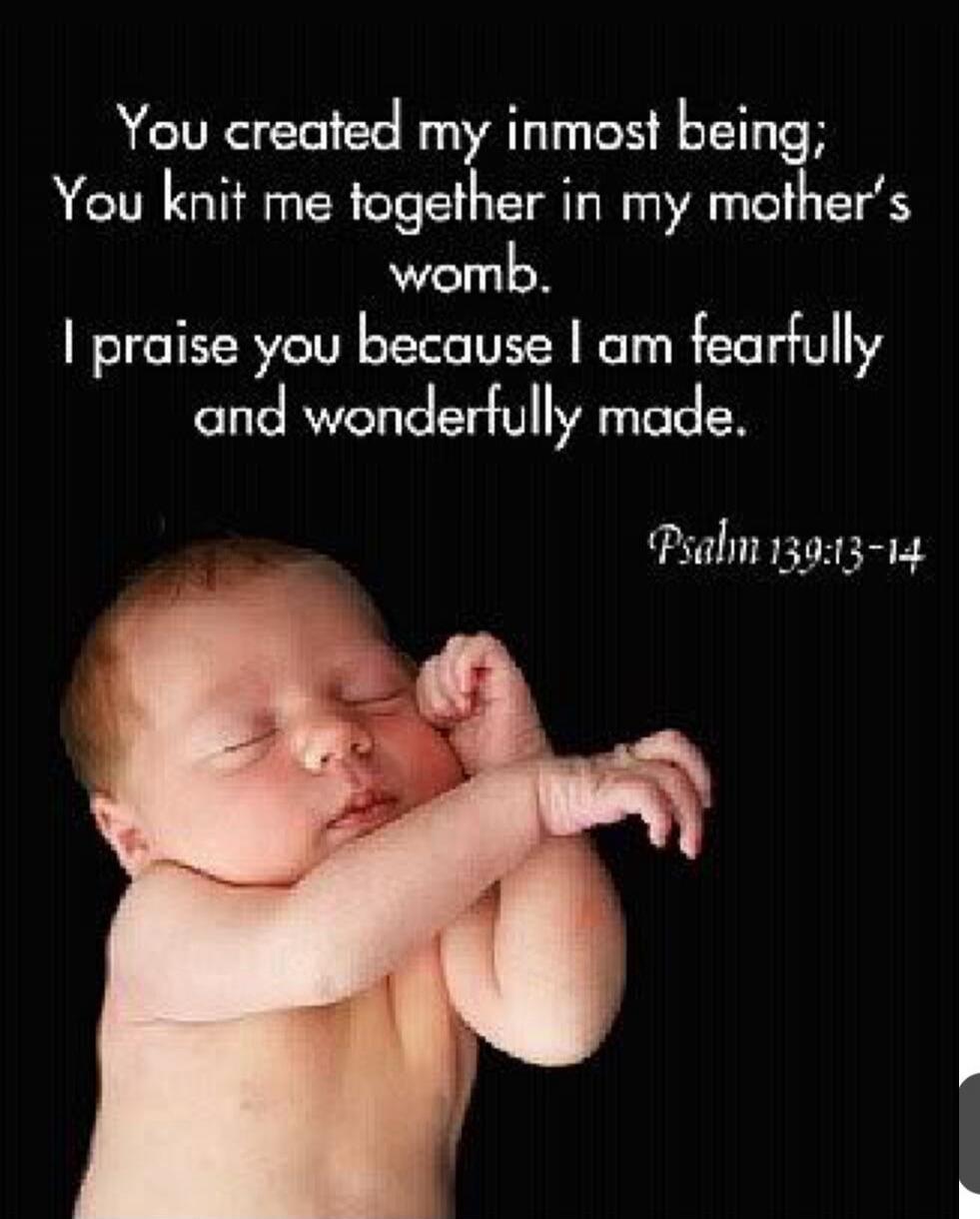 You created my inmost being; You knit me together in my mother's womb. I praise you because I am fearfully and wonderfully made. Psalm 139:13-14
