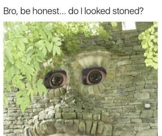 Bro be honest do looked stoned