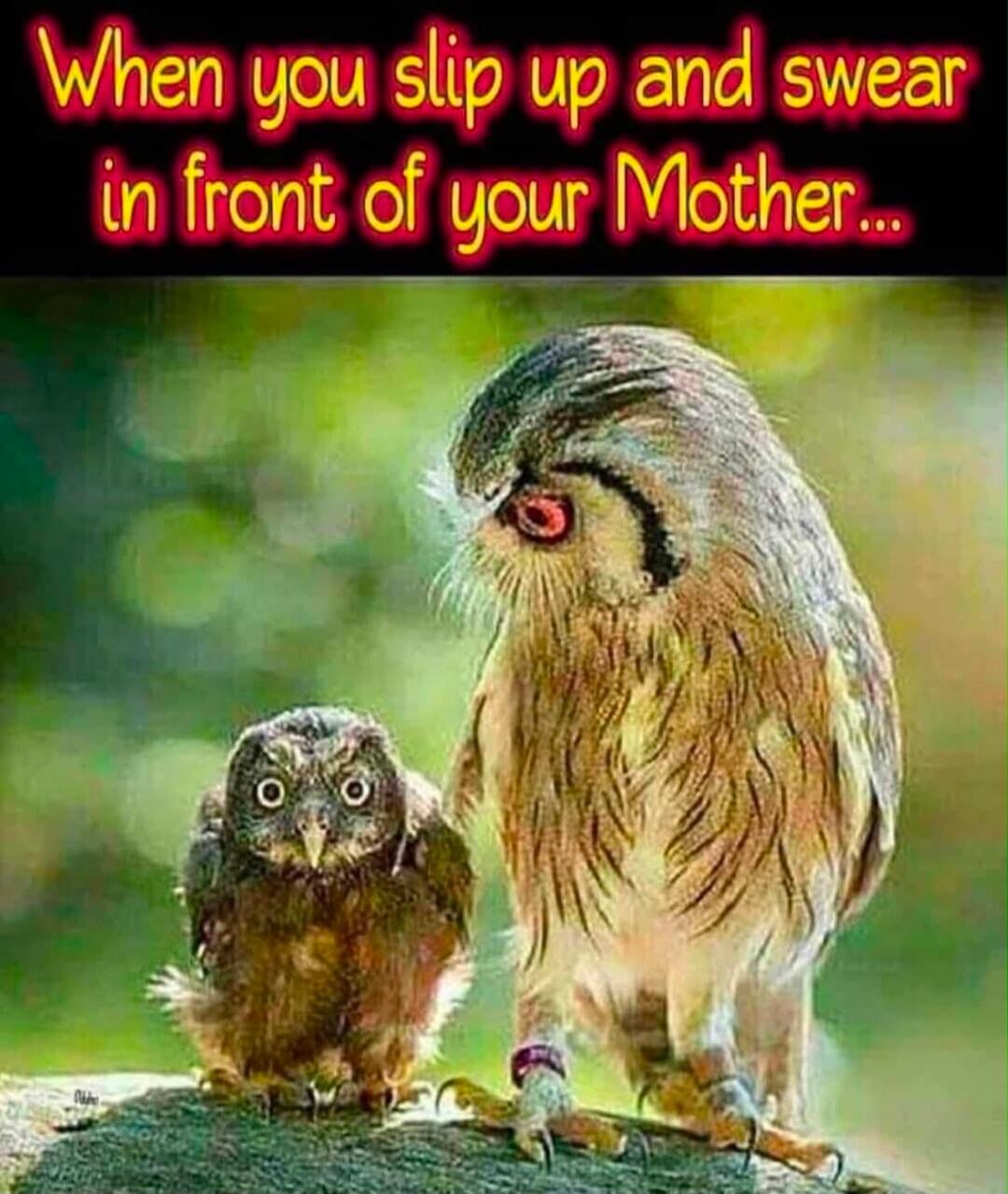 When you slip up and swear in front of your Mother...