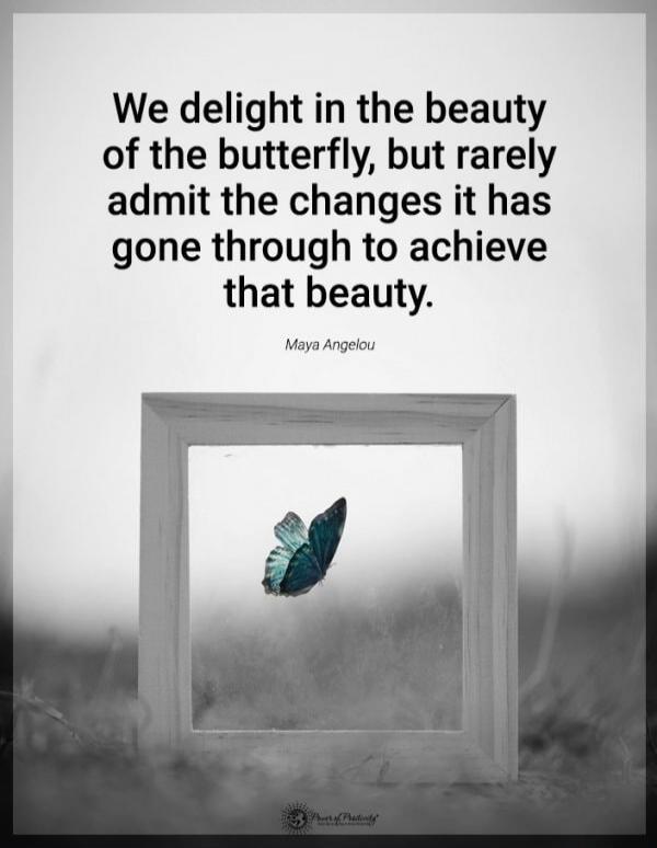 We delight in the beauty of the butterfly, but rarely admit the changes it has gone through to achieve that beauty. Maya Angelou