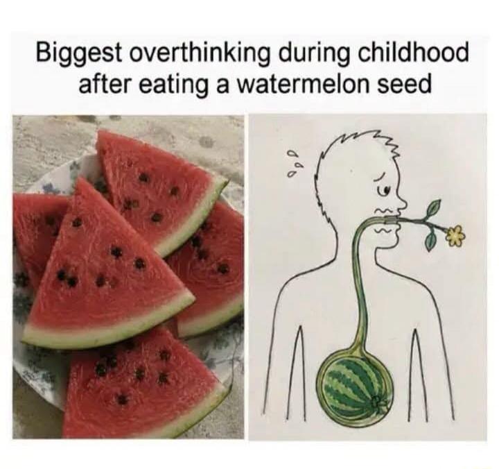 Biggest overthinking during childhood after eating a watermelon seed