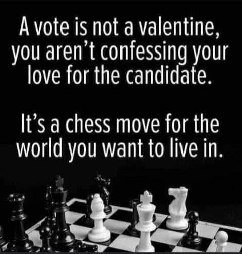 A vote is not a valentine, you aren't confessing your love for the candidate. It's a chess move for the world you want to live in.