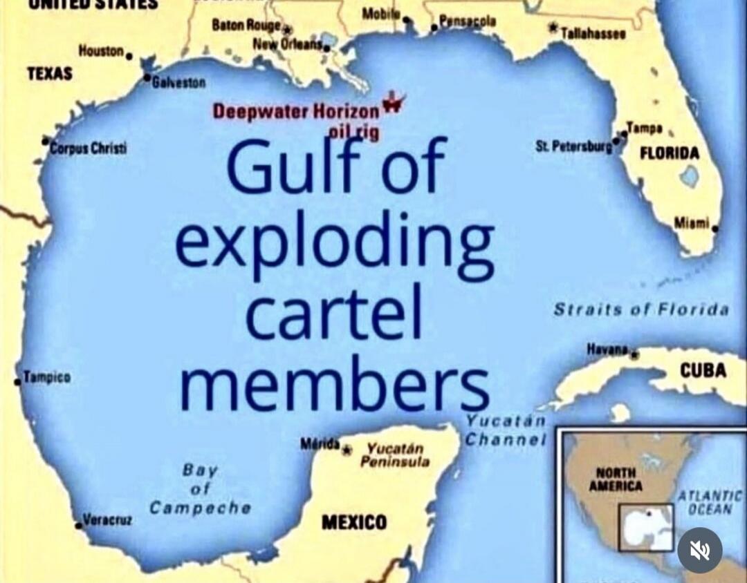 Gulf of exploding cartel members
Deepwater Horizon oil spill