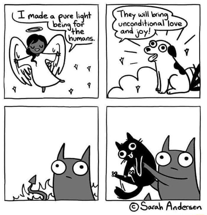 They wil bng uncondihional love and joy