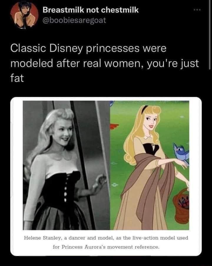 LICER QTR L B G TS Classic Disney princesses were modeled after real women youre just fat