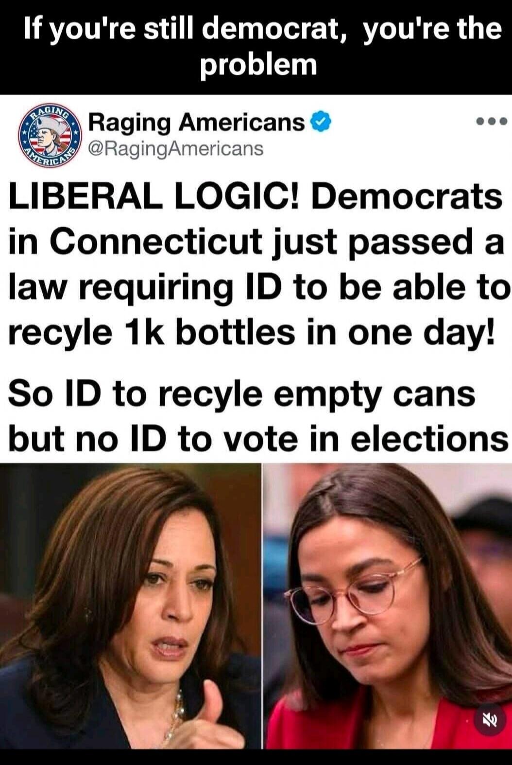 If you're still democrat, you're the problem. Raging Americans @RagingAmericans. LIBERAL LOGIC! Democrats in Connecticut just passed a law requiring ID to be able to recycle 1k bottles in one day! So ID to recycle empty cans but no ID to vote in elections