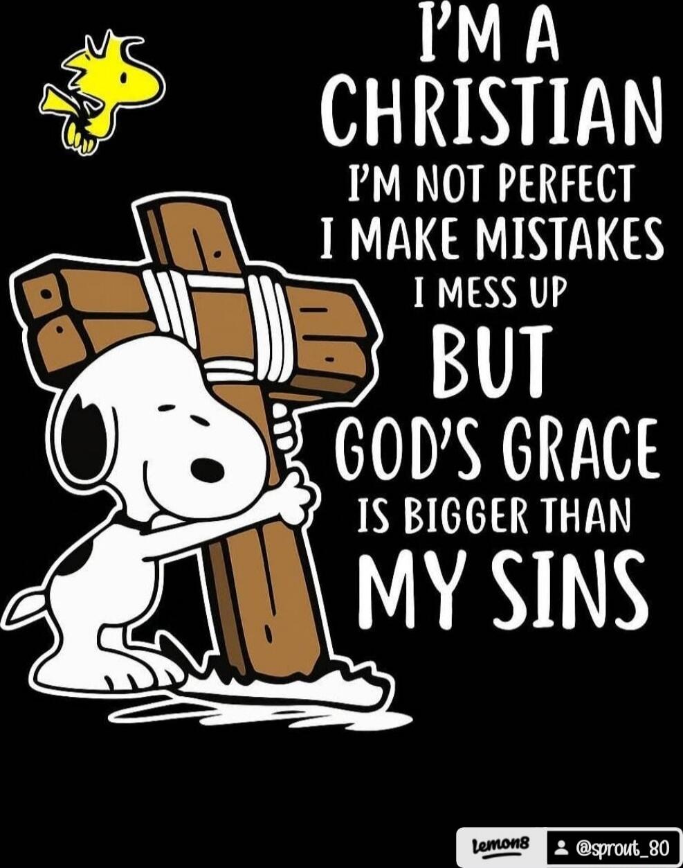 I'M A CHRISTIAN
I'M NOT PERFECT
I MAKE MISTAKES
I MESS UP
BUT
GOD'S GRACE
IS BIGGER THAN
MY SINS