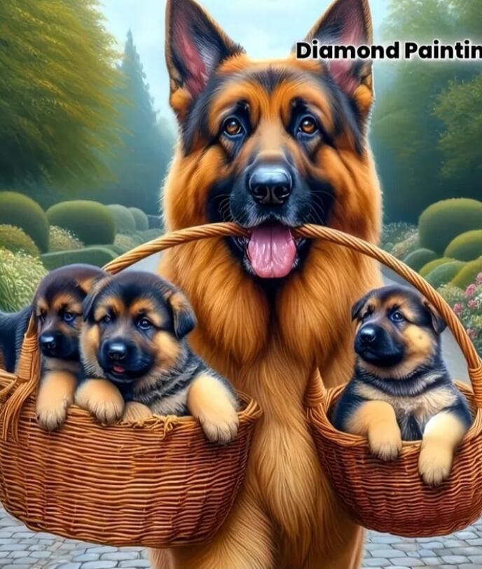 Diamond Painting