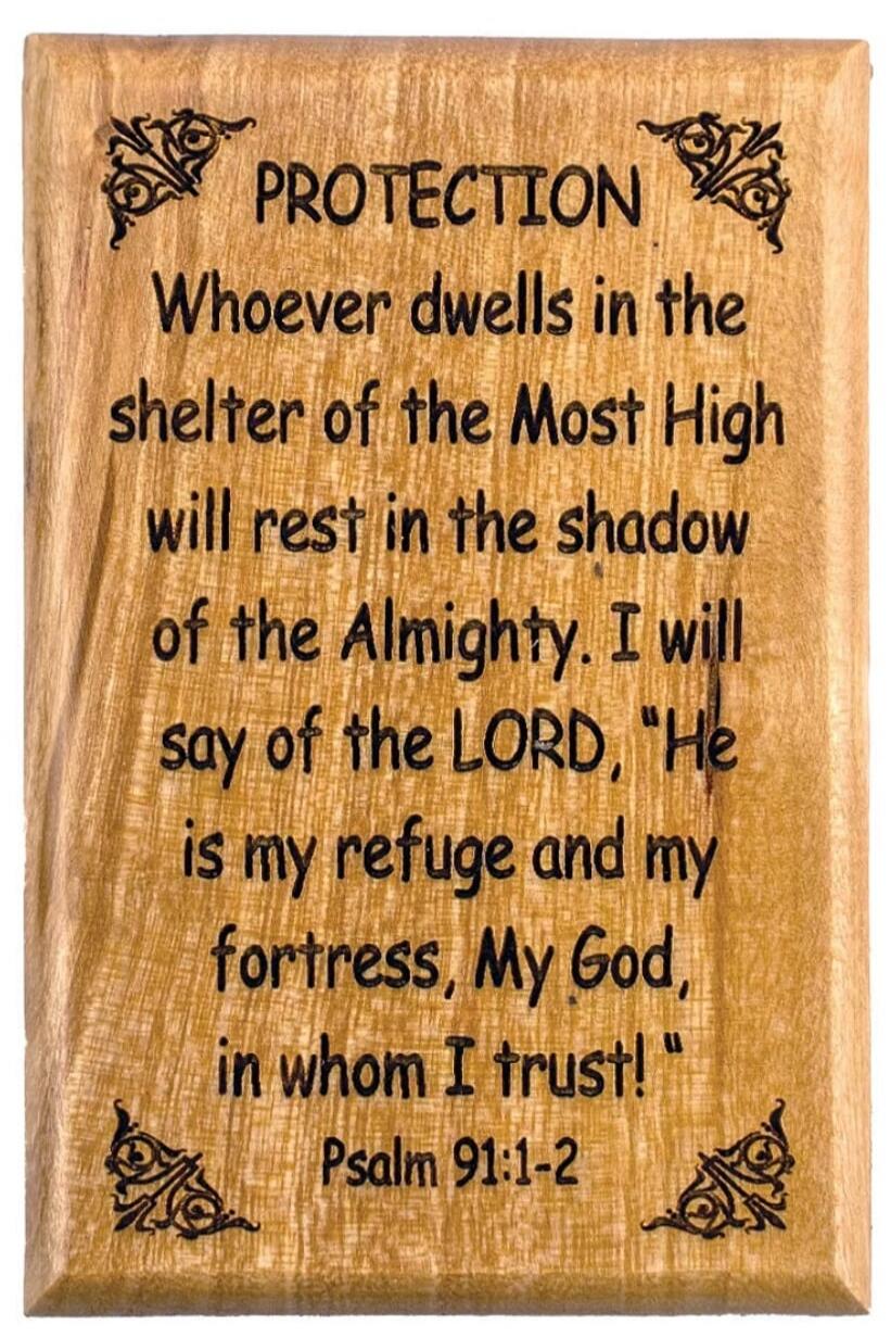 PROTECTION Whoever dwells in the shelter of the Most High will rest in the shadow of the Almighty. I will say of the LORD, 