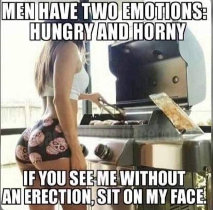 B ANERECTION SIT ON MY FACE