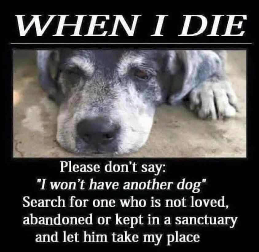 WHEN I DIE Please don't say: 