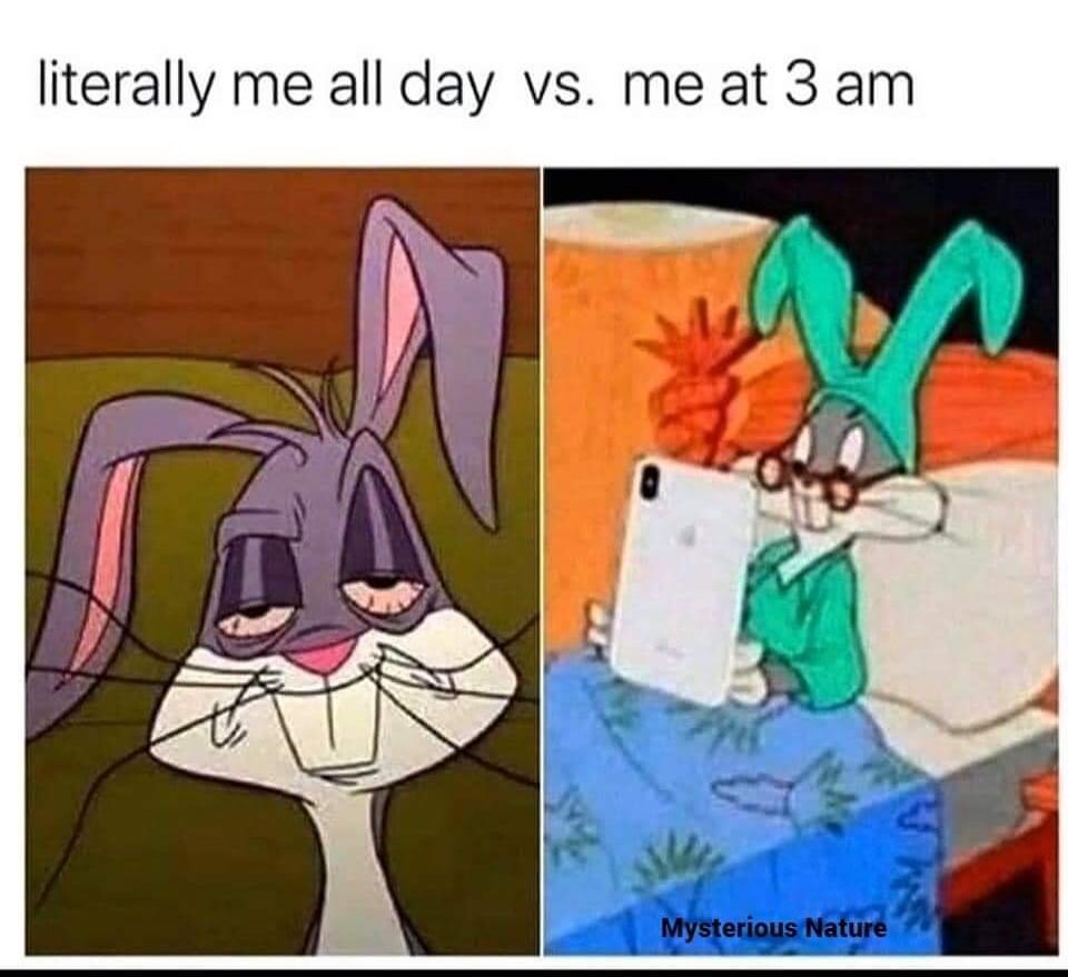 literally me all day vs. me at 3 am
