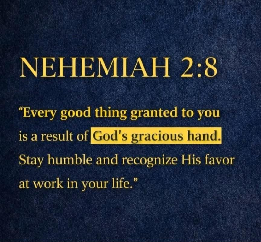 NEHEMIAH 2:8 