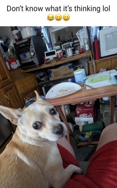 Don't know what it's thinking lol