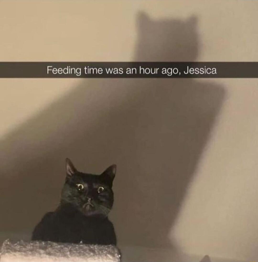 Feeding time was an hour ago Jessica