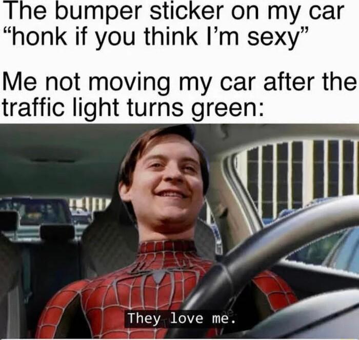 e bumper sticker on my car honk if you think Im sexy Me not moving my car after the traffic light turns green They love me