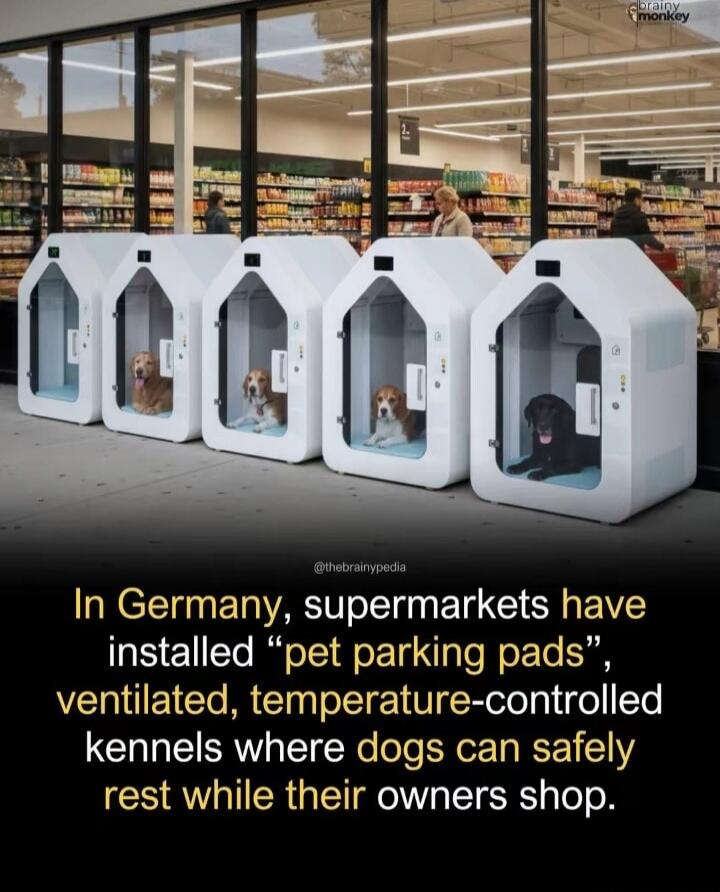 In Germany, supermarkets have installed 