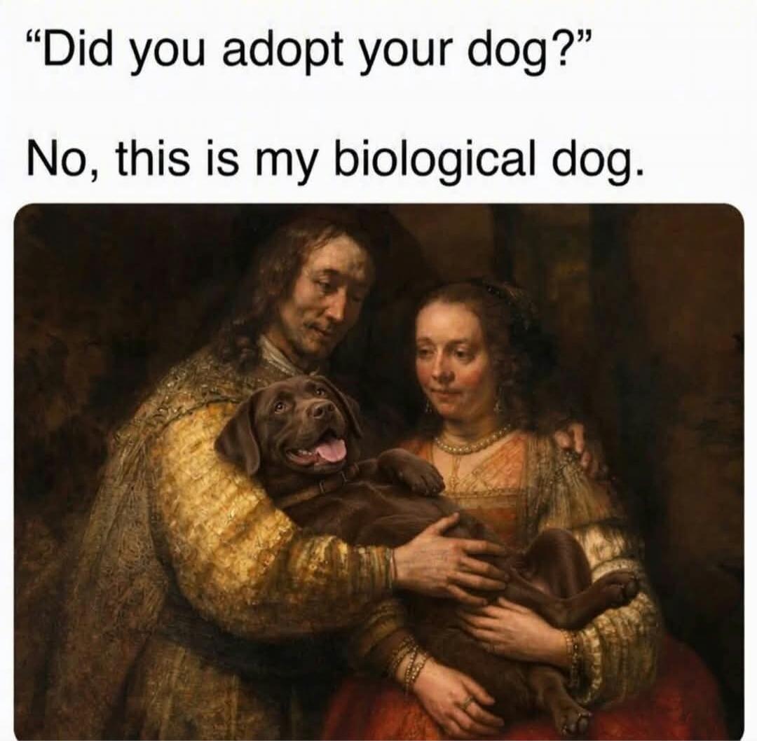 Did you adopt your dog? No, this is my biological dog.