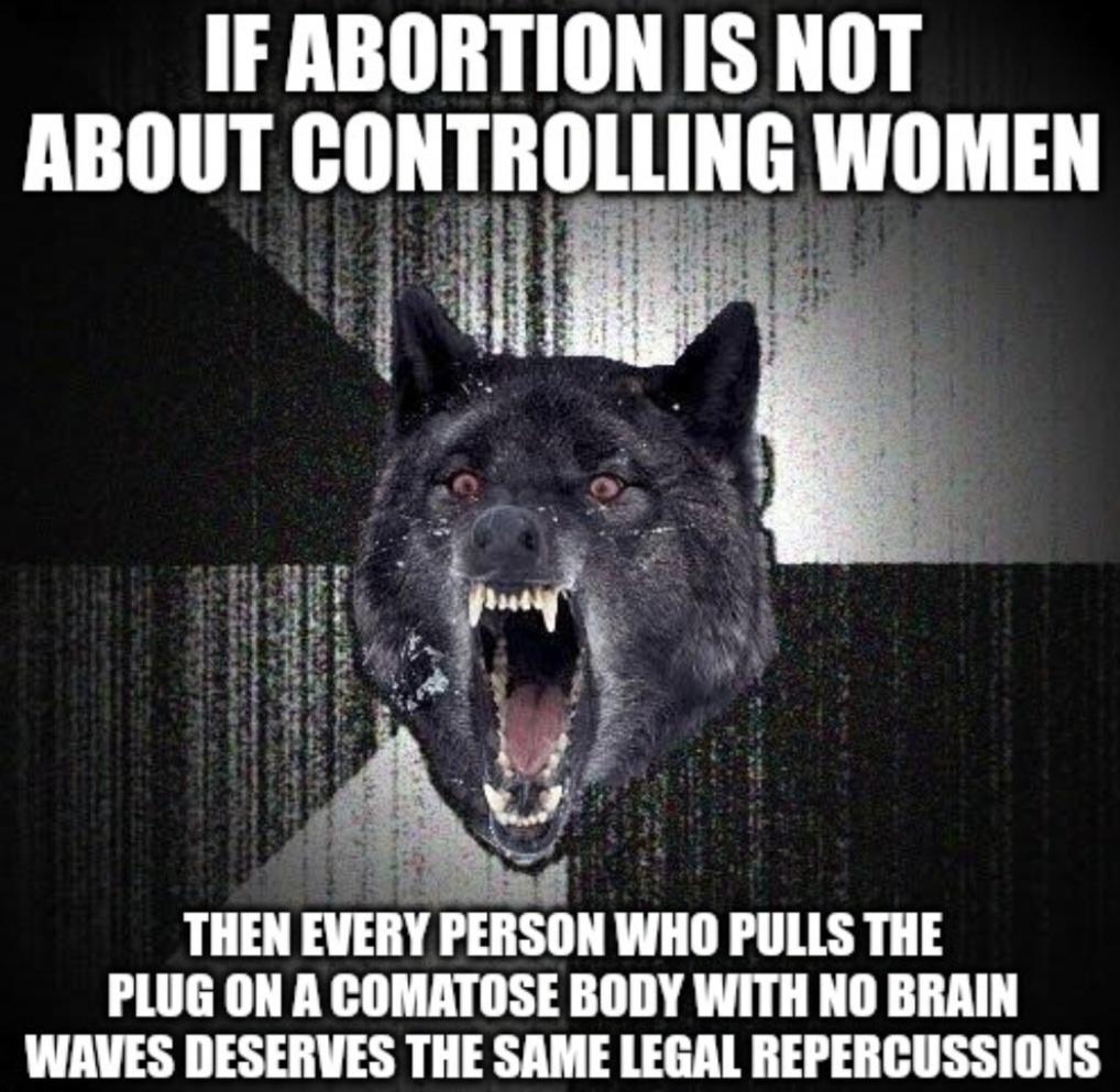 IF ABORTION IS NOT ABOUT lllllllllllllll WIIMEII THEN EVERY PERSON WHO PULLS THE PLUG ON A COMATOSE BODY WITH NO BRAIN WAVES DESERVES THE SAME LEGAL REPERCUSSIONS