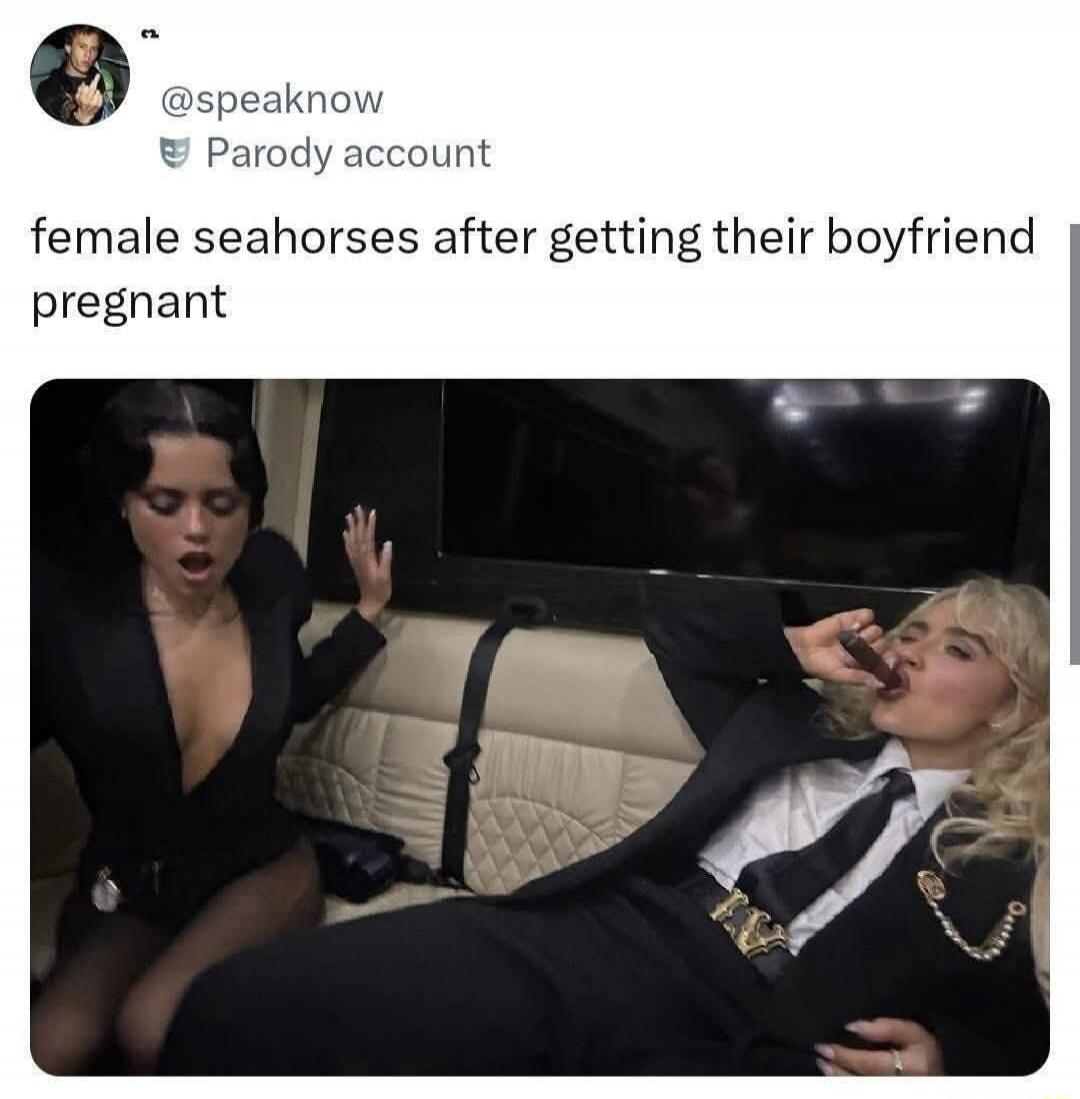 @speaknow Parody account female seahorses after getting their boyfriend pregnant